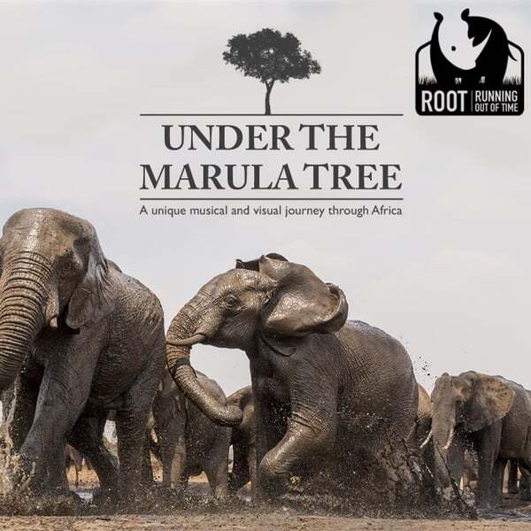 Cover art for Under the Marula Tree
